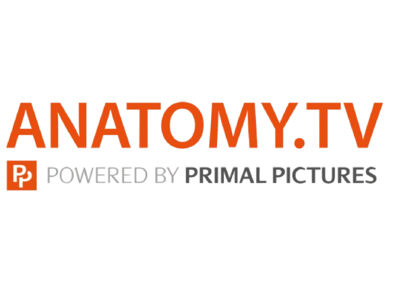 ANATOMY.TV (ANATOMÍA 3D)